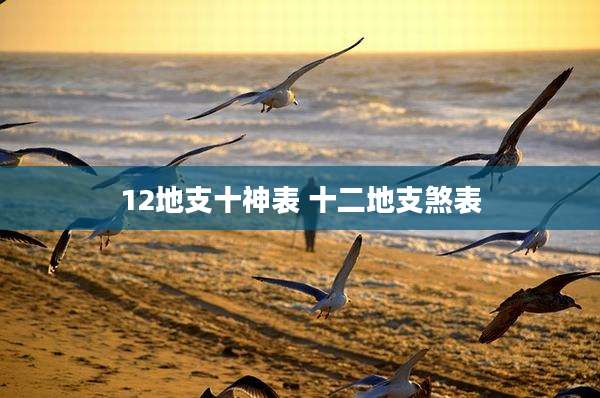12地支十神表 十二地支煞表