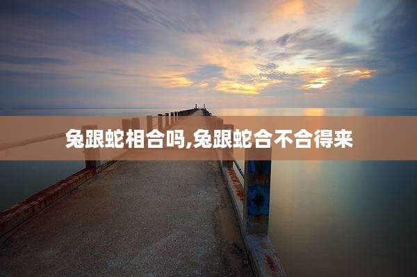 兔跟蛇相合吗,兔跟蛇合不合得来