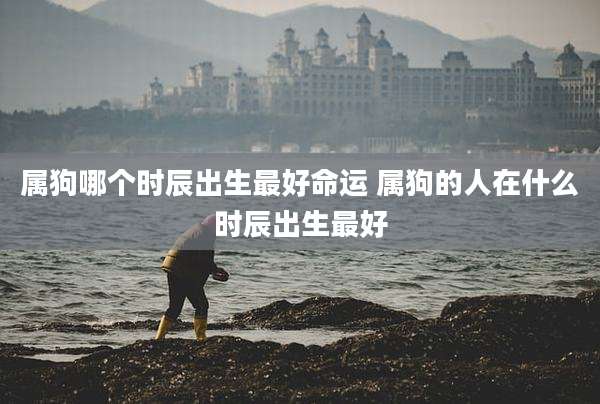 属狗哪个时辰出生最好命运 属狗的人在什么时辰出生最好