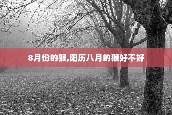 8月份的猴,阳历八月的猴好不好