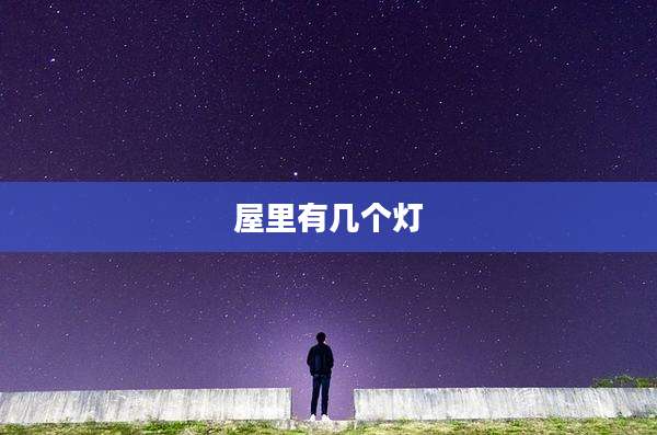 屋里有几个灯