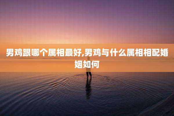 男鸡跟哪个属相最好,男鸡与什么属相相配婚姻如何