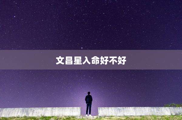 文昌星入命好不好