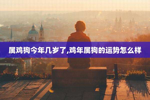 属鸡狗今年几岁了,鸡年属狗的运势怎么样