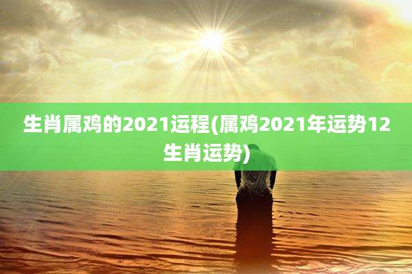 生肖属鸡的2021运程(属鸡2021年运势12生肖运势)