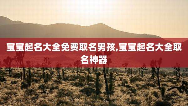 宝宝起名大全免费取名男孩,宝宝起名大全取名神器
