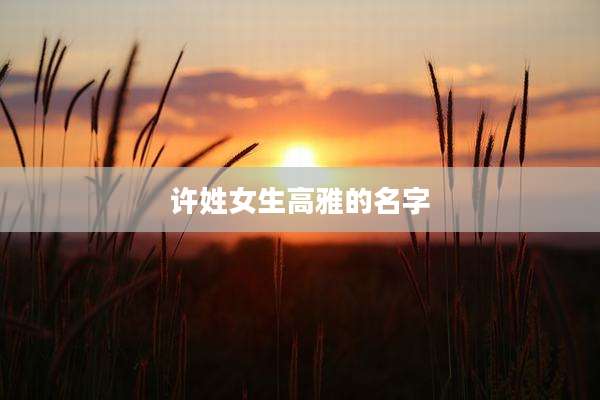 许姓女生高雅的名字
