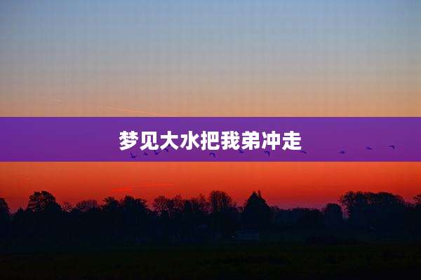 梦见大水把我弟冲走