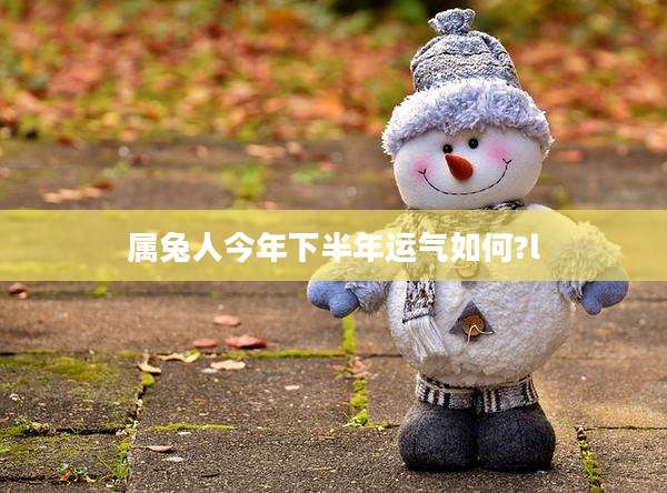 属兔人今年下半年运气如何?l