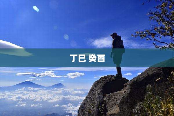 丁巳 癸酉