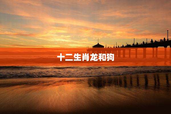 十二生肖龙和狗