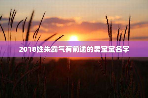 2018姓朱霸气有前途的男宝宝名字