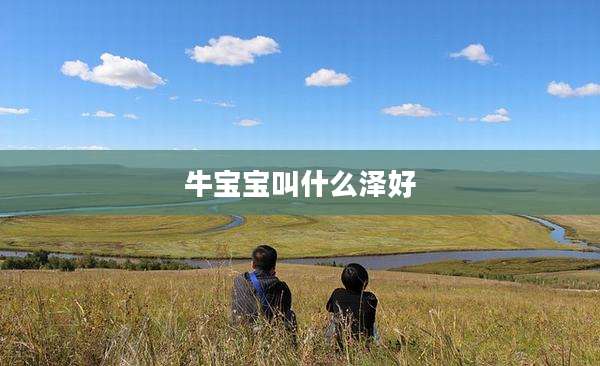 牛宝宝叫什么泽好