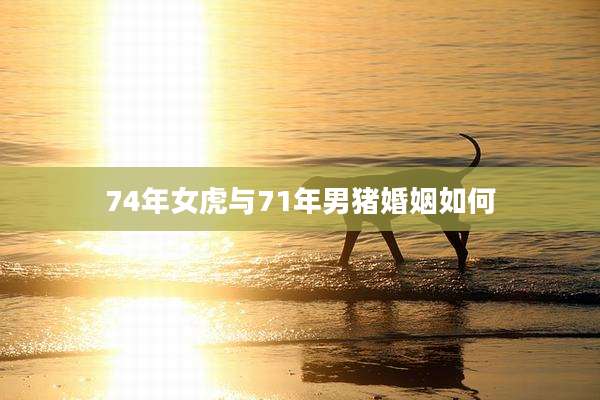 74年女虎与71年男猪婚姻如何