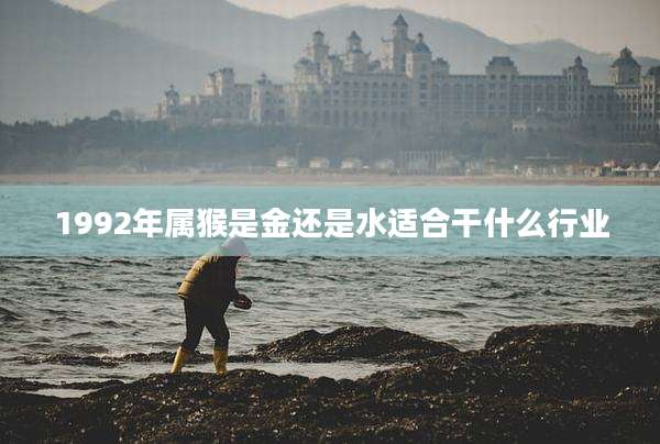 1992年属猴是金还是水适合干什么行业