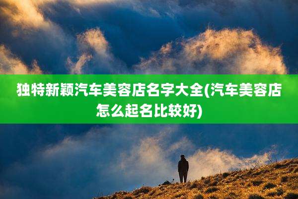 独特新颖汽车美容店名字大全(汽车美容店怎么起名比较好)