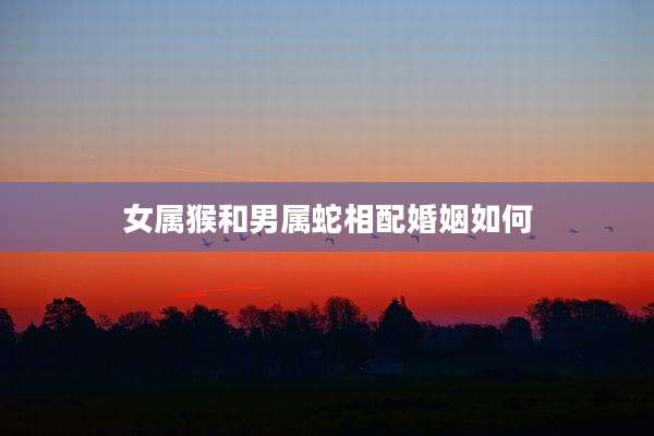 女属猴和男属蛇相配婚姻如何