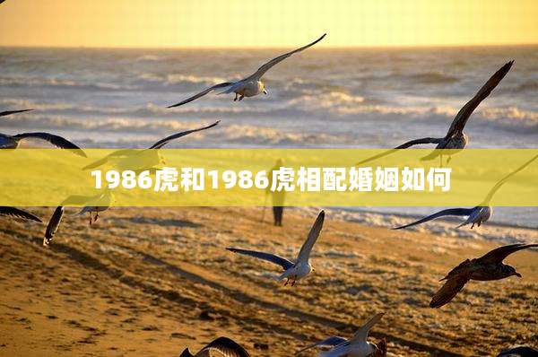 1986虎和1986虎相配婚姻如何