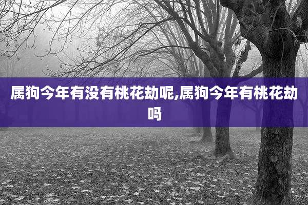 属狗今年有没有桃花劫呢,属狗今年有桃花劫吗