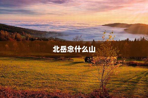 北岳念什么山