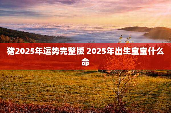 猪2025年运势完整版 2025年出生宝宝什么命