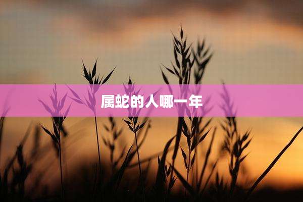 属蛇的人哪一年