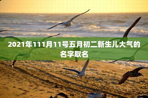 2021年111月11号五月初二新生儿大气的名字取名