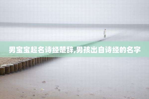 男宝宝起名诗经楚辞,男孩出自诗经的名字