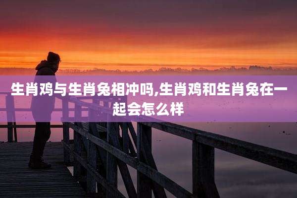 生肖鸡与生肖兔相冲吗,生肖鸡和生肖兔在一起会怎么样