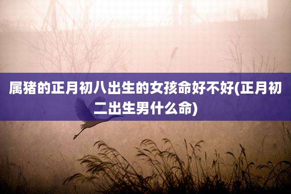 属猪的正月初八出生的女孩命好不好(正月初二出生男什么命)