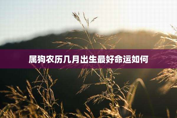 属狗农历几月出生最好命运如何