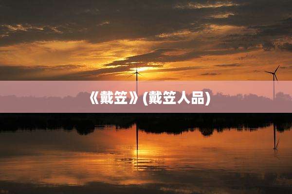 《戴笠》(戴笠人品)