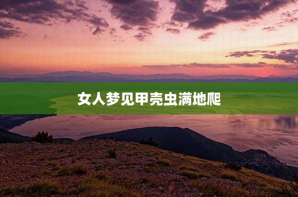 女人梦见甲壳虫满地爬