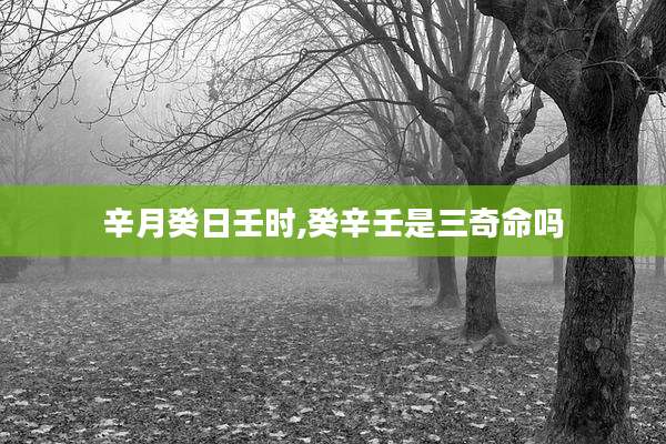 辛月癸日壬时,癸辛壬是三奇命吗