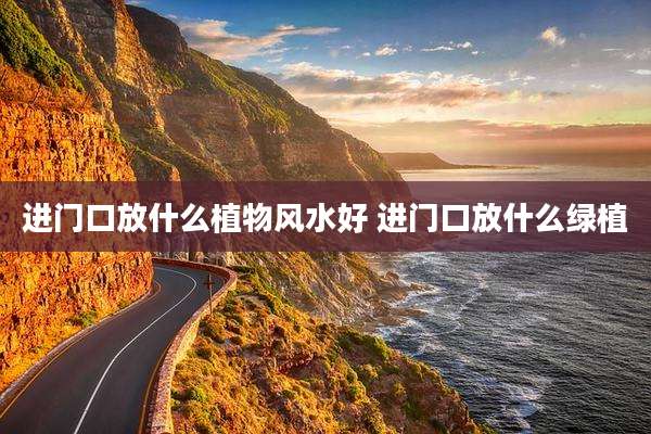 进门口放什么植物风水好 进门口放什么绿植