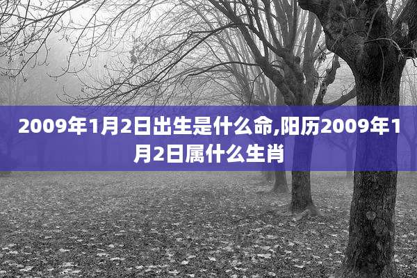 2009年1月2日出生是什么命,阳历2009年1月2日属什么生肖