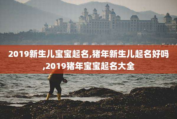 2019新生儿宝宝起名,猪年新生儿起名好吗,2019猪年宝宝起名大全