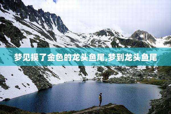 梦见摸了金色的龙头鱼尾,梦到龙头鱼尾