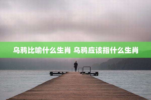 乌鸦比喻什么生肖 乌鸦应该指什么生肖