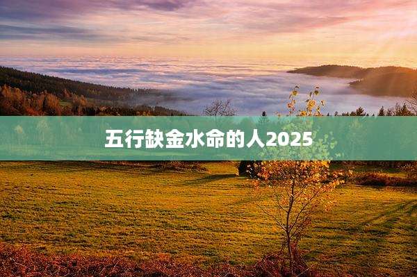 五行缺金水命的人2025