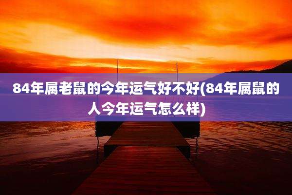 84年属老鼠的今年运气好不好(84年属鼠的人今年运气怎么样)