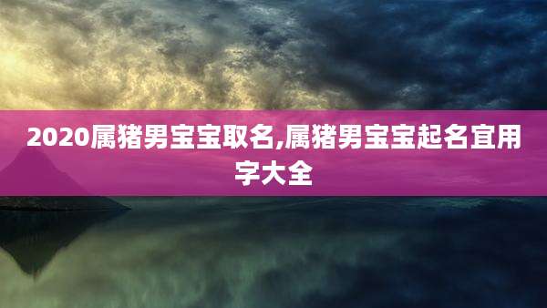 2020属猪男宝宝取名,属猪男宝宝起名宜用字大全