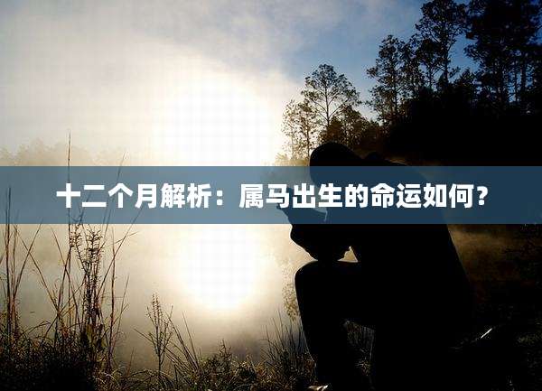 十二个月解析:属马出生的命运如何?