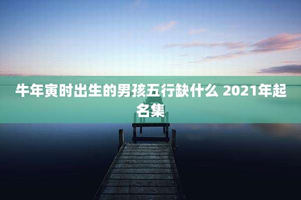 牛年寅时出生的男孩五行缺什么 2021年起名集