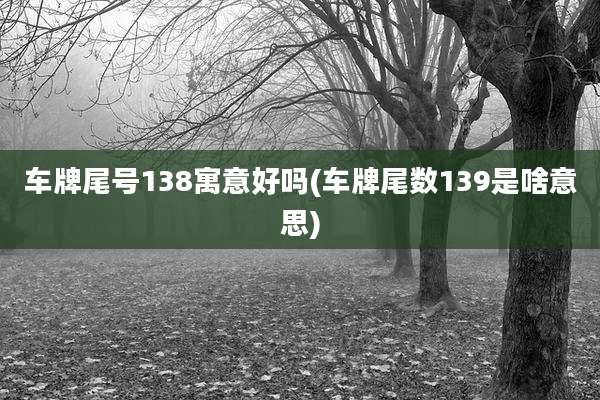 车牌尾号138寓意好吗(车牌尾数139是啥意思)
