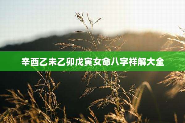 辛酉乙未乙卯戊寅女命八字祥解大全
