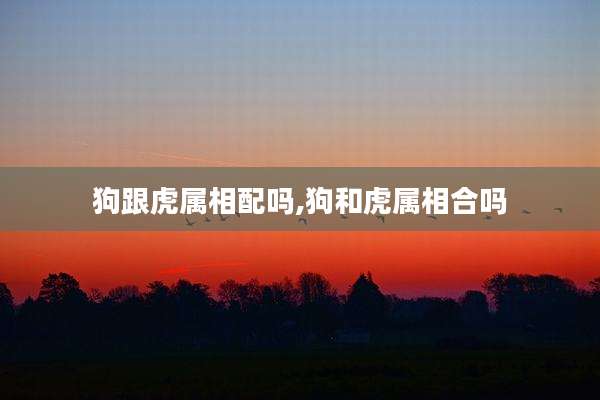 狗跟虎属相配吗,狗和虎属相合吗