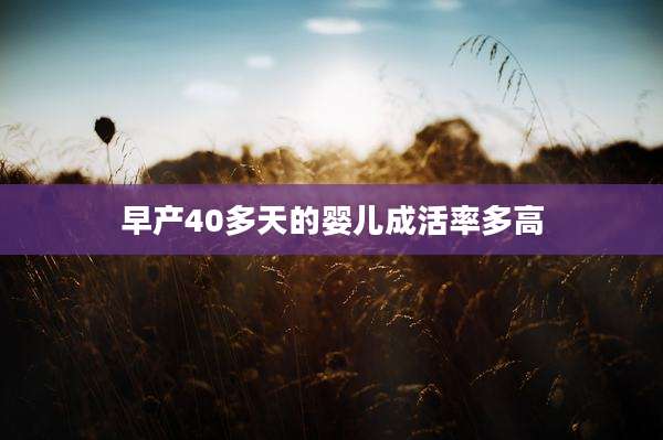 早产40多天的婴儿成活率多高