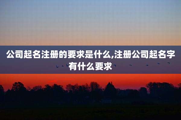 公司起名注册的要求是什么,注册公司起名字有什么要求