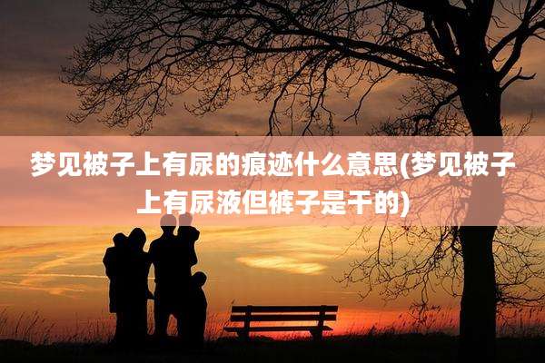 梦见被子上有尿的痕迹什么意思(梦见被子上有尿液但裤子是干的)